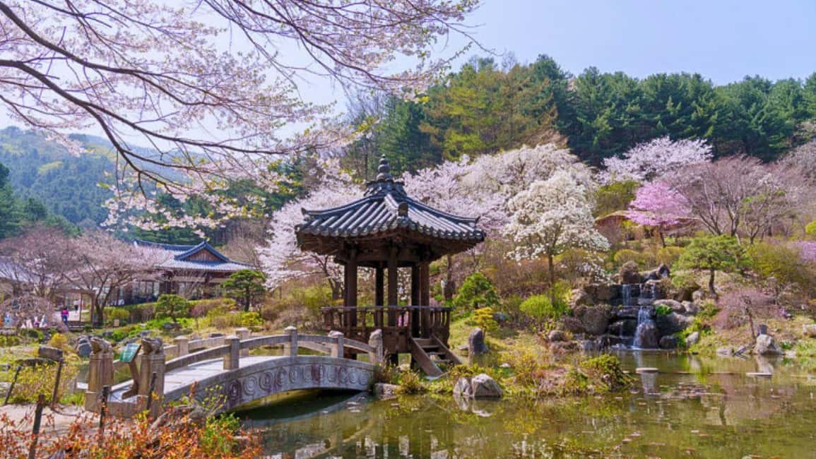 imagen n.º 13 de Desde Seúl: Parque de las Begonias, bicicleta sobre raíles y visita a los jardines. actividad en Gapyeong-gun, subida por el proveedor