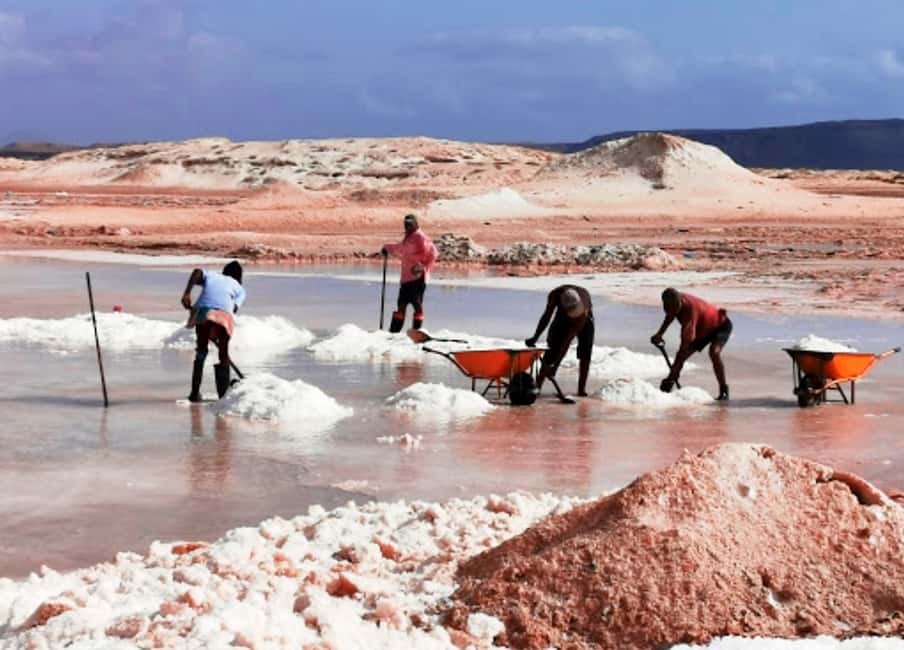 imagem n.3 de Da Praia: Excursão de dia inteiro à Ilha do Sal atividade em Sal, carregada pelo fornecedor