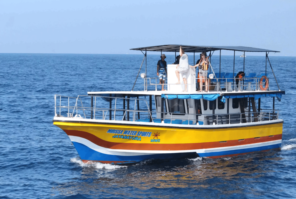 image n.2 of All Inclusive Mirissa Whale and Dolphin Watching Boat Ride activity in Mirissa, uploaded by supplier