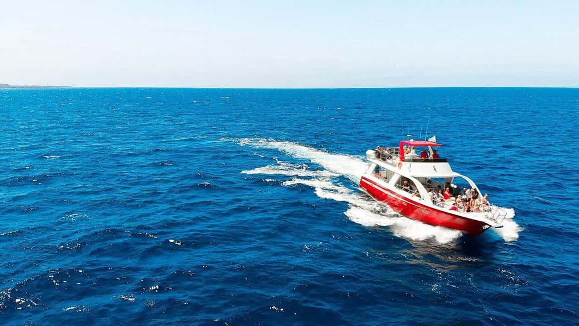 image n.12 of Los Cristianos: Eco Yacht Whale Watching Tour at Sunset activity in Canary Islands, uploaded by supplier