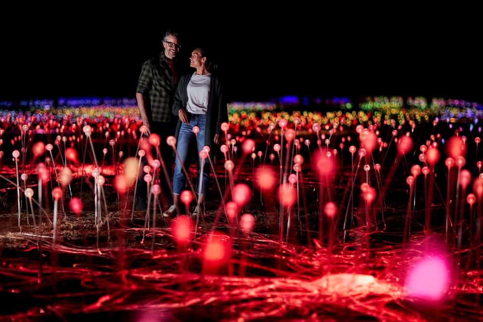 image n.4 of Uluru: Field of Light Sunrise Tour with Hot Drinks activity in Yulara, uploaded by supplier