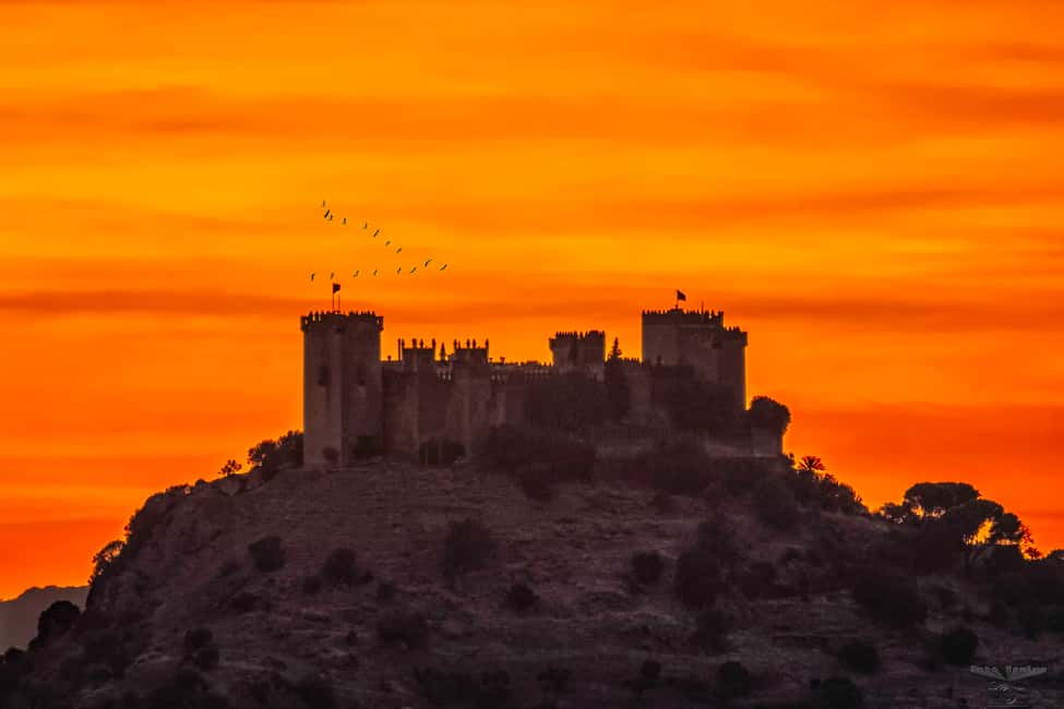 imagen n.º 5 de Córdoba: entrada al castillo de Almódovar actividad en Córdoba, subida por el proveedor