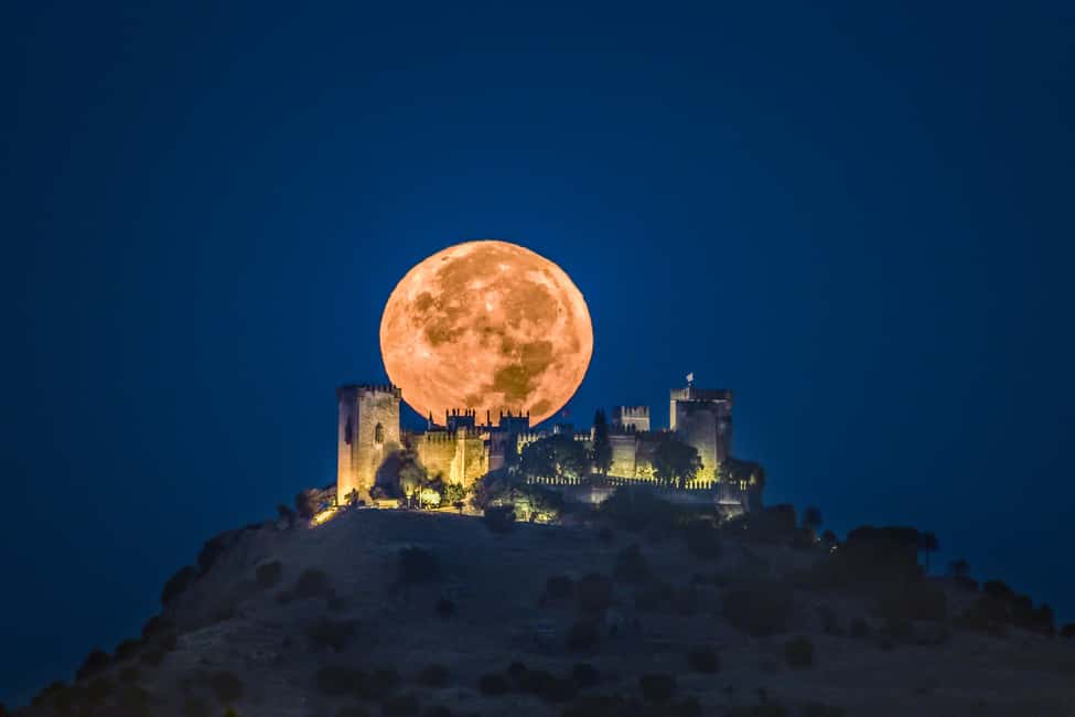 imagen n.º 6 de Córdoba: entrada al castillo de Almódovar actividad en Córdoba, subida por el proveedor