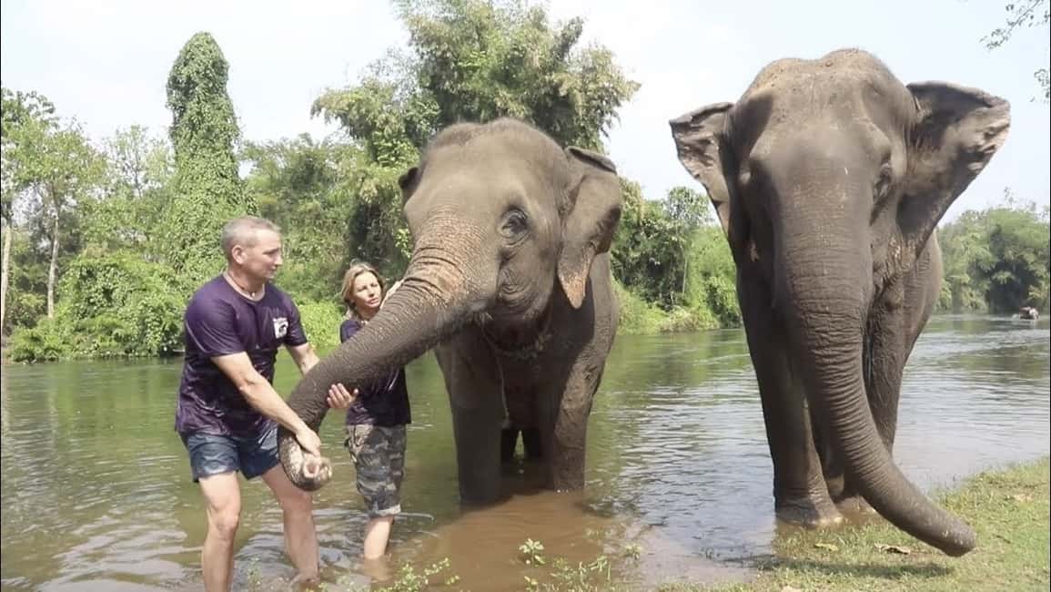 image n.5 of From Bangkok: ElephantsWorld Kanchanaburi 2-Day Experience activity in Kanchanaburi, uploaded by supplier