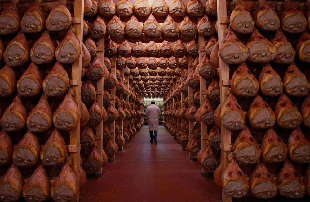 image n.1 of From Bologna or Modena: Parma Gastronomic Tour with Lunch activity in Langhirano, uploaded by supplier