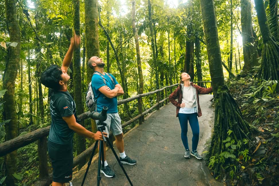 image n.8 of Arenal: Hanging Bridges Walking Tour activity in La Fortuna, uploaded by supplier