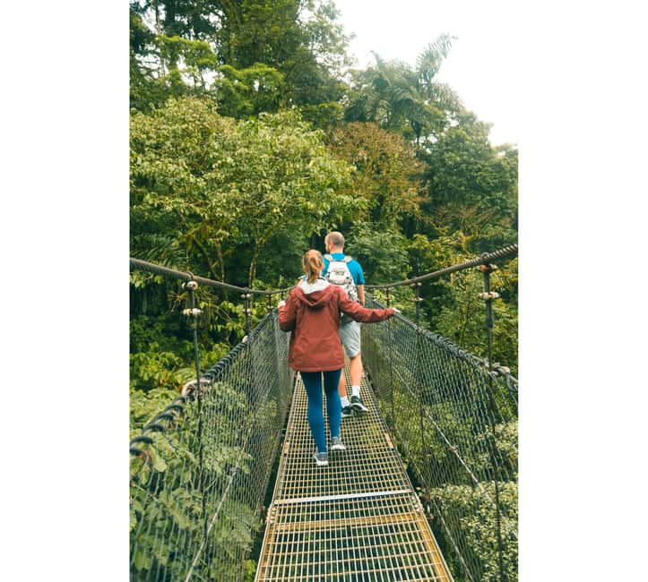 image n.14 of Arenal: Hanging Bridges Walking Tour activity in La Fortuna, uploaded by supplier
