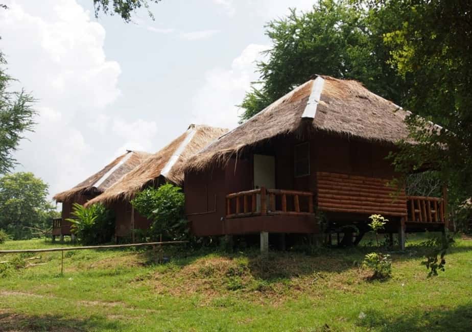 image n.8 of From Bangkok: ElephantsWorld Kanchanaburi 2-Day Experience activity in Kanchanaburi, uploaded by supplier