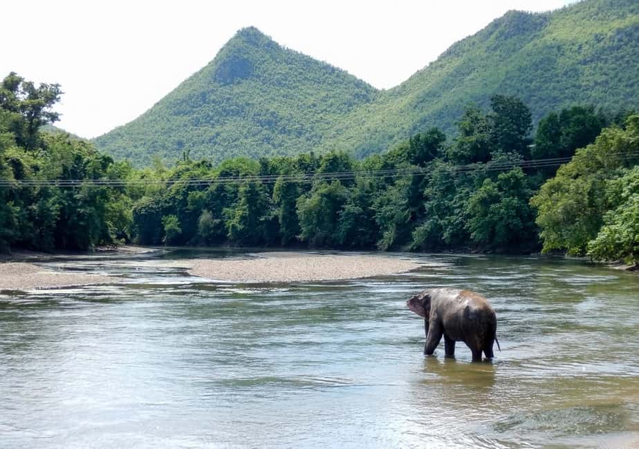 image n.9 of From Bangkok: ElephantsWorld Kanchanaburi 2-Day Experience activity in Kanchanaburi, uploaded by supplier