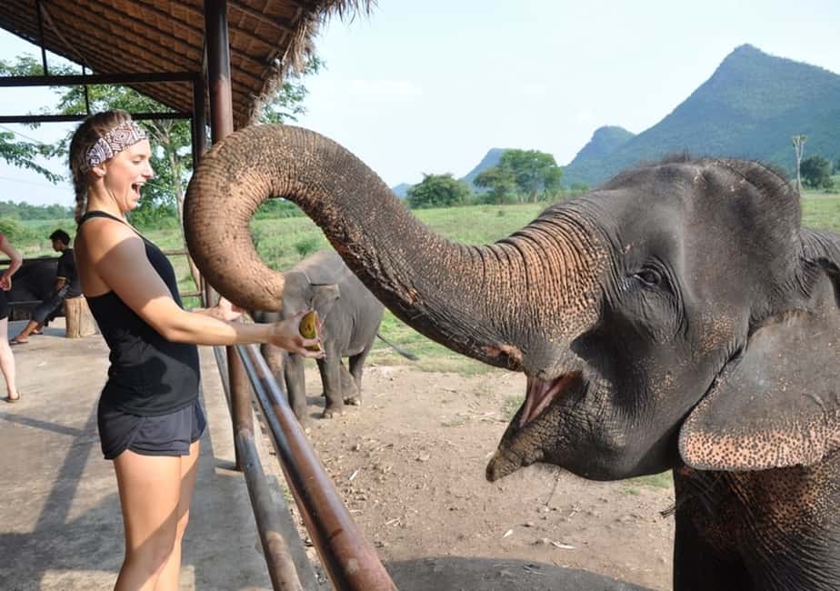 image n.12 of From Bangkok: ElephantsWorld Kanchanaburi 2-Day Experience activity in Kanchanaburi, uploaded by supplier