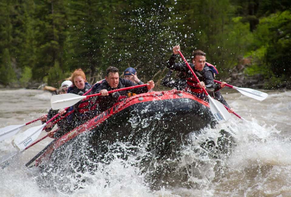 image n.1 of Jackson: Snake River Class 2-3 Whitewater Rafting Adventure activity in Wyoming, uploaded by supplier