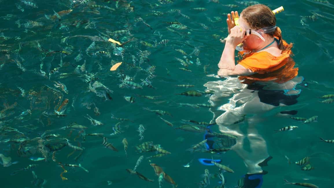 billede nr.5 af aktiviteten Kota Kinabalu: Snorkling og øhop Sapi & Manukan i Sabah, uploadet af udbyder