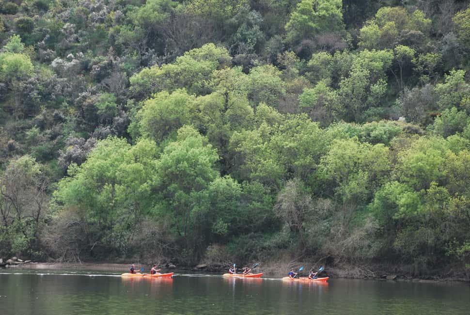 image n.7 of Pinhão: 4 Hour Douro Valley Kayak Rental activity in Norte Region, uploaded by supplier