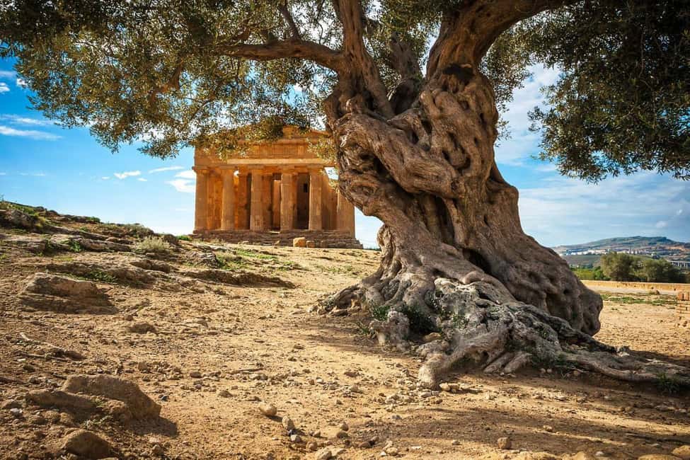 image n.8 of Sicily: 8-Day Small Group Tour of Sicily's Highlights activity in Catania, uploaded by supplier