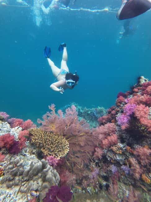 image n.26 of Koh Lipe: Longtail Boat Snorkeling Trip with Lunch activity in Gulf of Thailand, uploaded by supplier