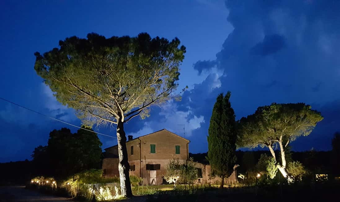 Immagine nº 4 di Montepulciano: tour della cantina toscana con degustazione di vini e pasto attività a Montepulciano, caricata dal fornitore