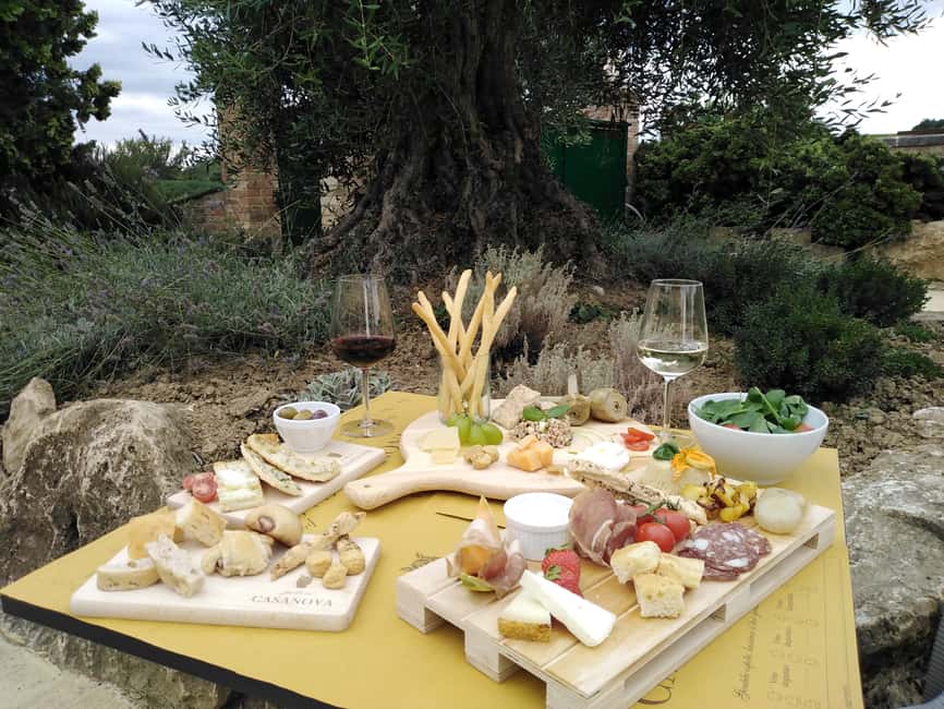 Immagine nº 6 di Montepulciano: tour della cantina toscana con degustazione di vini e pasto attività a Montepulciano, caricata dal fornitore