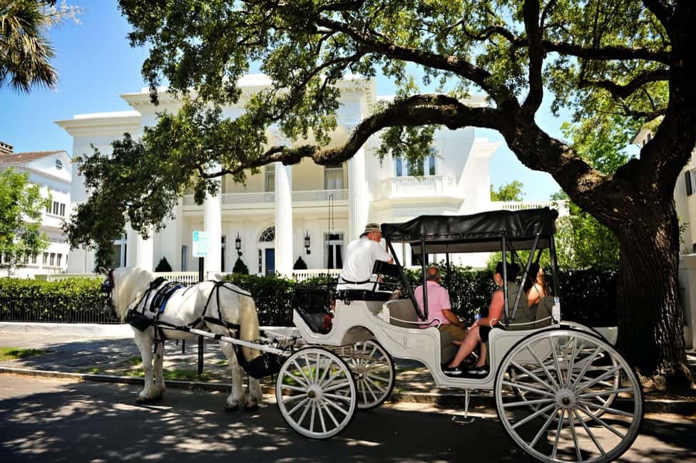image n.3 of Charleston, SC: Private Daytime Horse-Drawn Carriage Ride activity in Charleston, uploaded by supplier