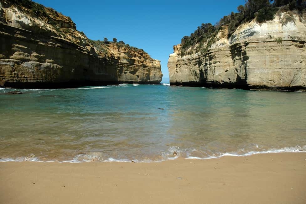 image n.8 of From Melbourne: Great Ocean Road, 12 Apostles, Wildlife Tour activity in Melbourne, uploaded by supplier