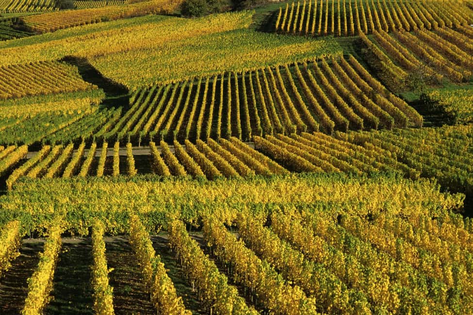 imagem n.1 de Visita à rota dos vinhos da Alsácia atividade em Estrasburgo, carregada pelo fornecedor