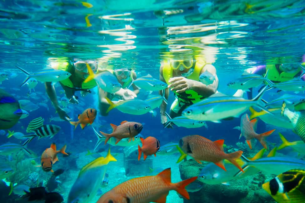 image n.12 of Singapore: Adventure Cove Waterpark Entrance Ticket activity in Singapore, uploaded by supplier