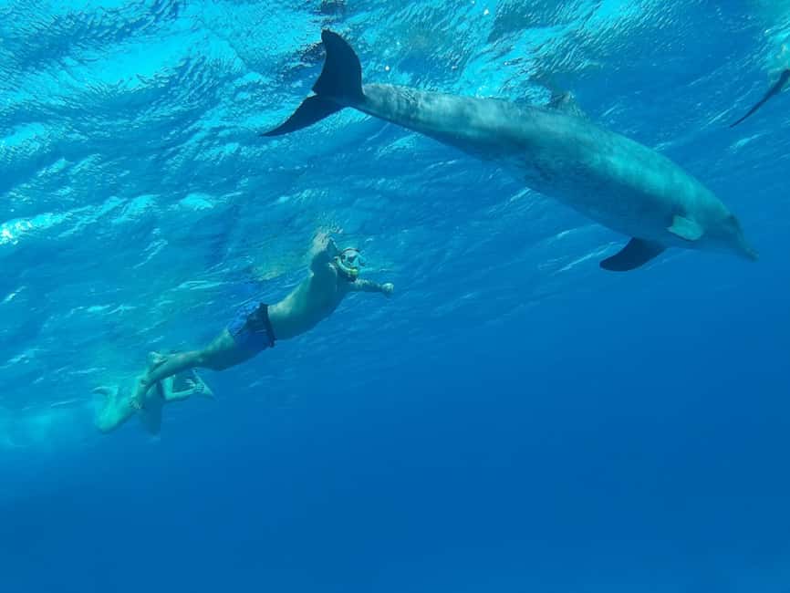 image n.7 of Hurghada: Luxury Cruise Trip to Orange Bay with Lunch activity in Red Sea Governorate, uploaded by supplier