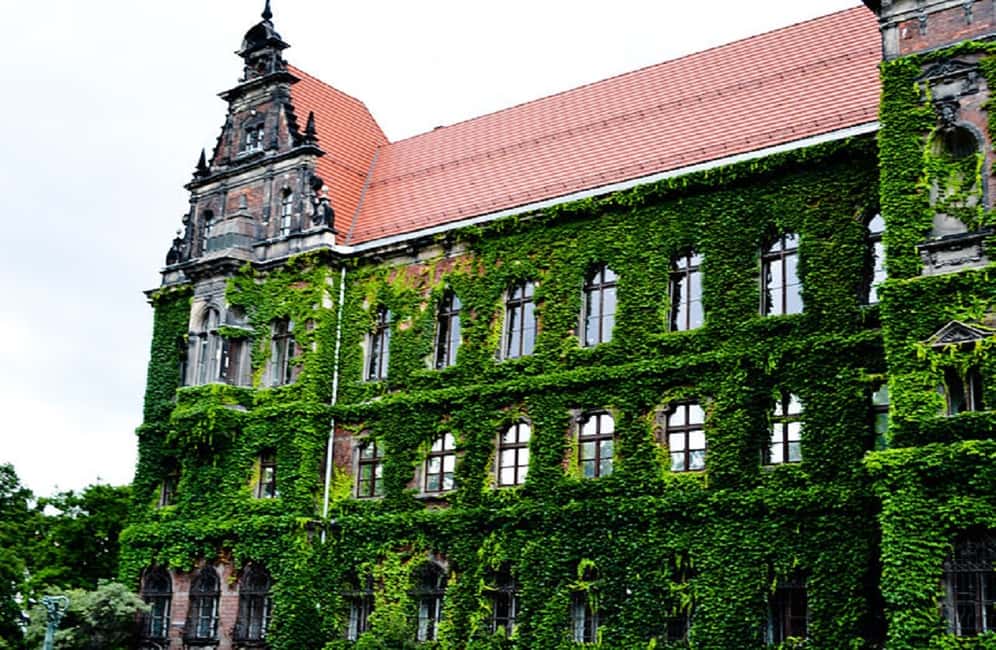 image n.6 of Krakow Private Day Trip to Wroclaw with Transport and Guide activity in Wroclaw, uploaded by supplier