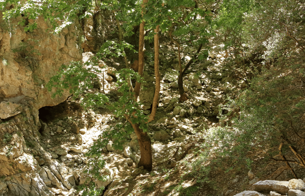 Immagine nº 14 di Fuoristrada: lago naturale, gole di montagna, foresta di palme e spiaggia attività a Kournas, caricata dal fornitore