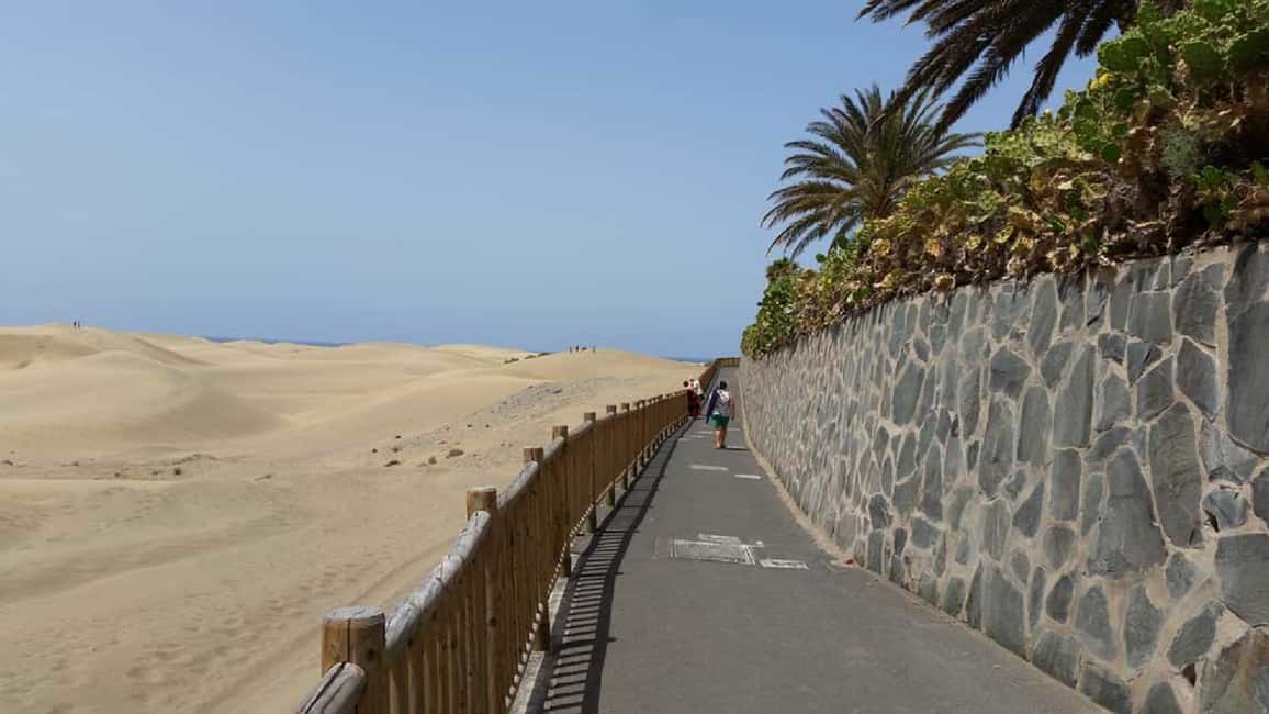 imagen n.º 16 de Maspalomas: Ruta en E-Bike por la Costa Sur Opción Degustación de Tapas actividad en El Pajar, subida por el proveedor