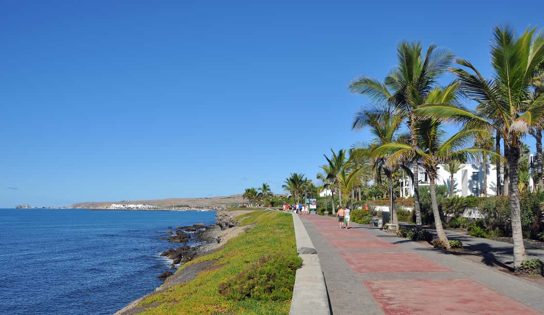 imagen n.º 28 de Maspalomas: Ruta en E-Bike por la Costa Sur Opción Degustación de Tapas actividad en El Pajar, subida por el proveedor