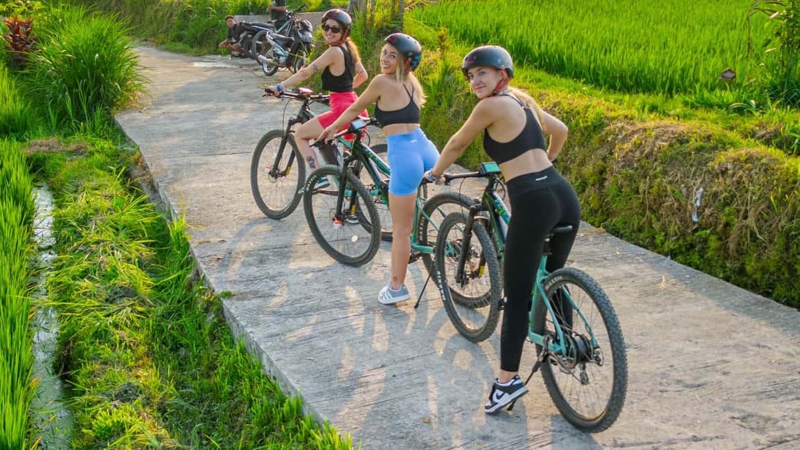 image n.6 of E-Bike: Ubud Rice Terraces & Traditional Villages Cycling activity in Bali, uploaded by supplier