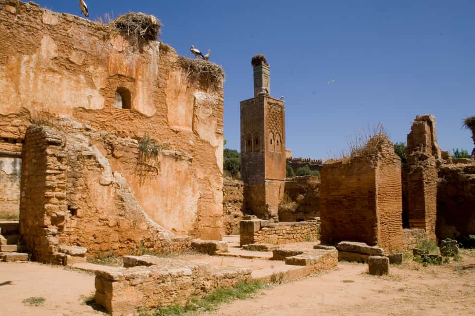 Image N°6 de Marrakech : Circuit de 9 jours à la découverte des villes impériales et du Sahara activité à Marrakech, publiée par le prestataire