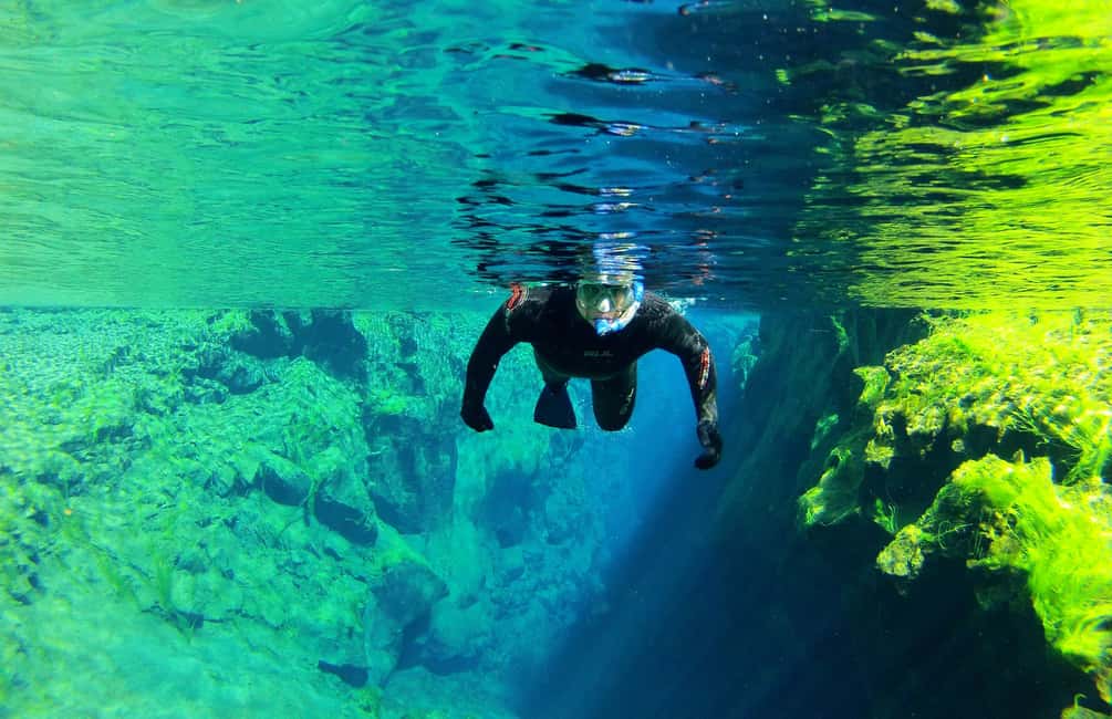 imagen n.º 9 de Silfra: Excursión de medio día de snorkel con fotos submarinas actividad en Suðurland, subida por el proveedor