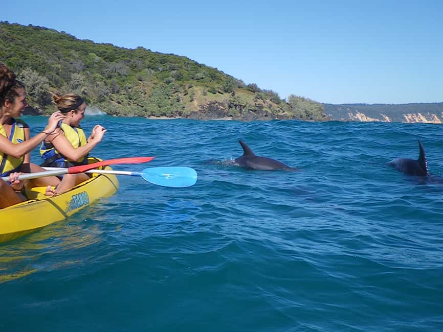 Image N°11 de Excursion en kayak à la rencontre des dauphins et visite du parc national en 4X4 sur la plage (privée) activité à Région de Gympie, publiée par le prestataire