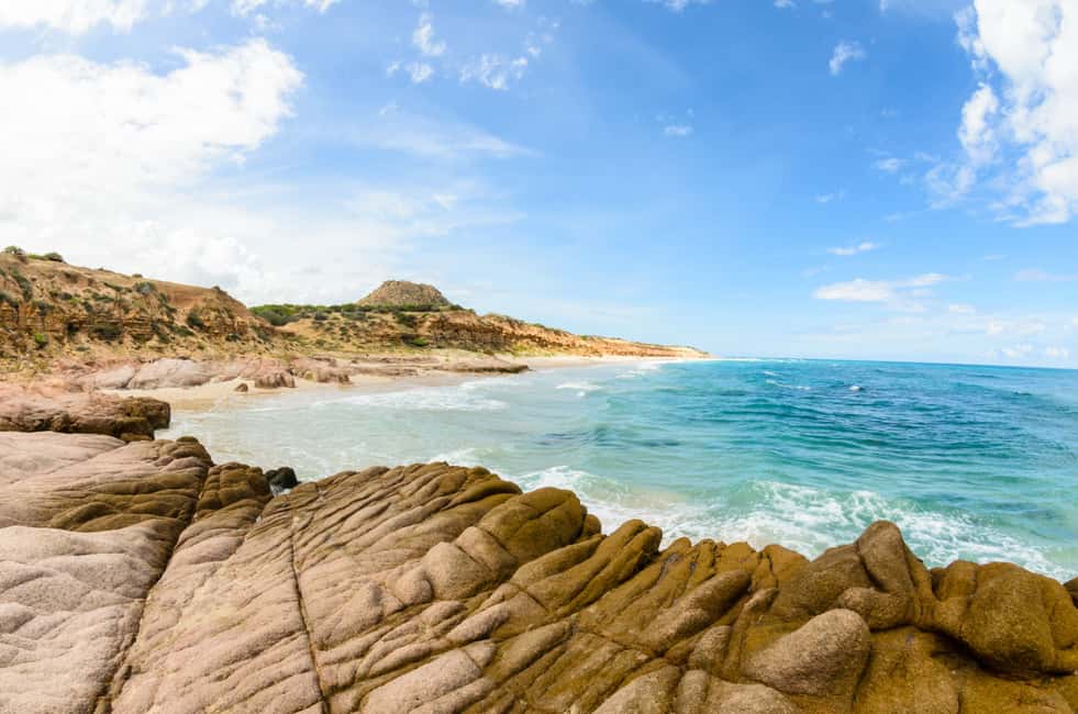 image n.10 of Cabo Pulmo Marine Park: Scuba Diving Excursion activity in Baja California Sur, uploaded by supplier