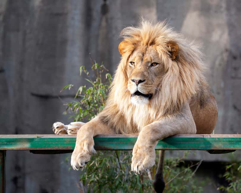 image n.6 of San Francisco CityPASS®: Save 46% at 4 Top Attractions activity in San Francisco, uploaded by supplier