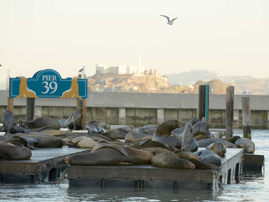 image n.8 of San Francisco CityPASS®: Save 46% at 4 Top Attractions activity in San Francisco, uploaded by supplier