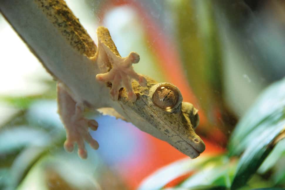 image n.11 of San Francisco CityPASS®: Save 46% at 4 Top Attractions activity in San Francisco, uploaded by supplier