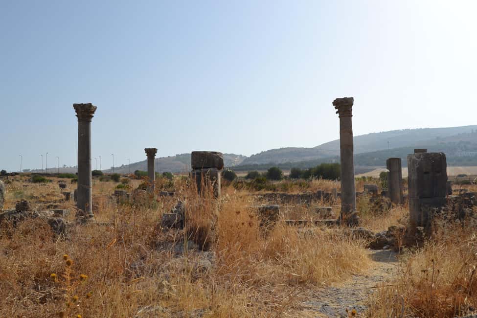 billede nr.31 af aktiviteten Dagstur fra Fes til Volubilis via Meknes og Moulay Idriss i Meknès, uploadet af udbyder