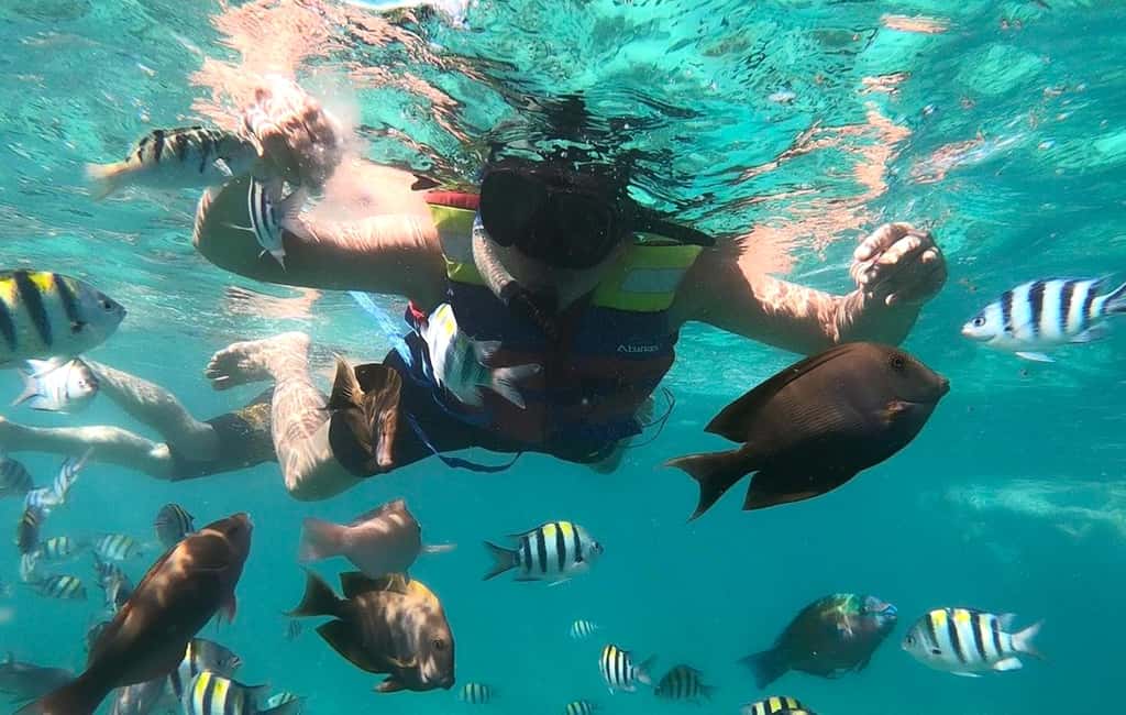 Obraz nr 16 z atrakcji Ekskluzywna jednodniowa wycieczka na różową plażę Lombok i 3 Gilis w Indonezja, przesłany przez organizatora