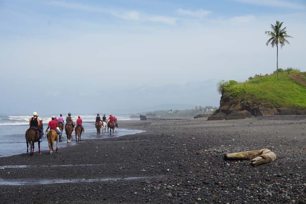 image n.5 of Bali: Horse Riding on Pigstone Beach and in the Rice Fields activity in Bali, uploaded by supplier