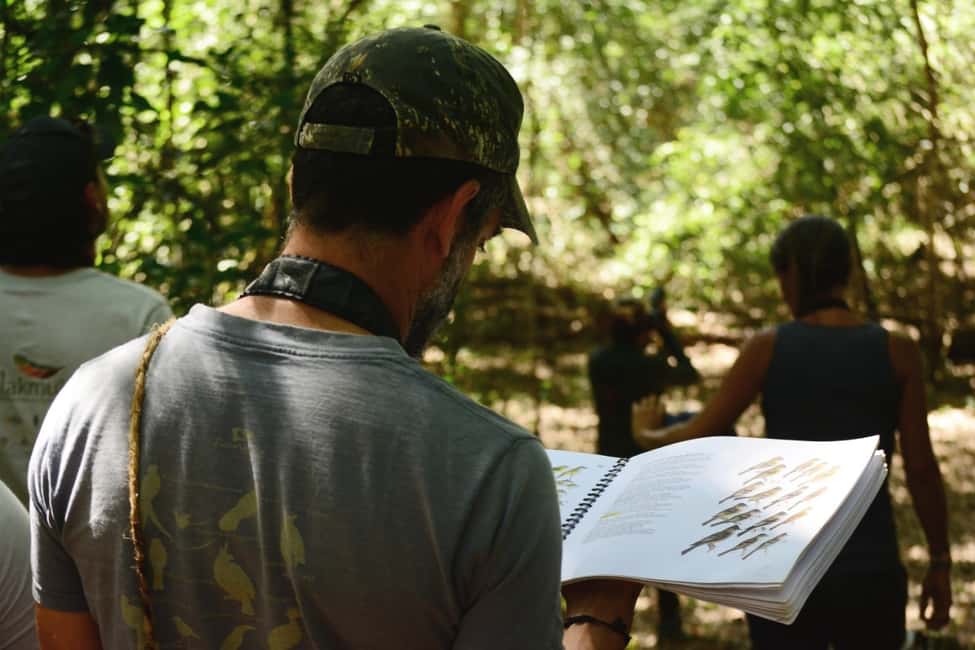 image n.5 of From Riviera Maya : Sian Ka'an Muyil Birdwatching with Guide activity in Yucatan Peninsula, uploaded by supplier