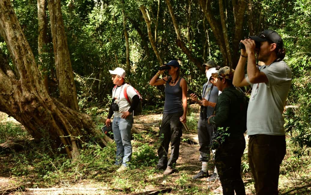 image n.9 of From Riviera Maya : Sian Ka'an Muyil Birdwatching with Guide activity in Yucatan Peninsula, uploaded by supplier