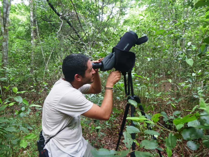 image n.4 of From Riviera Maya : Sian Ka'an Muyil Birdwatching with Guide activity in Yucatan Peninsula, uploaded by supplier