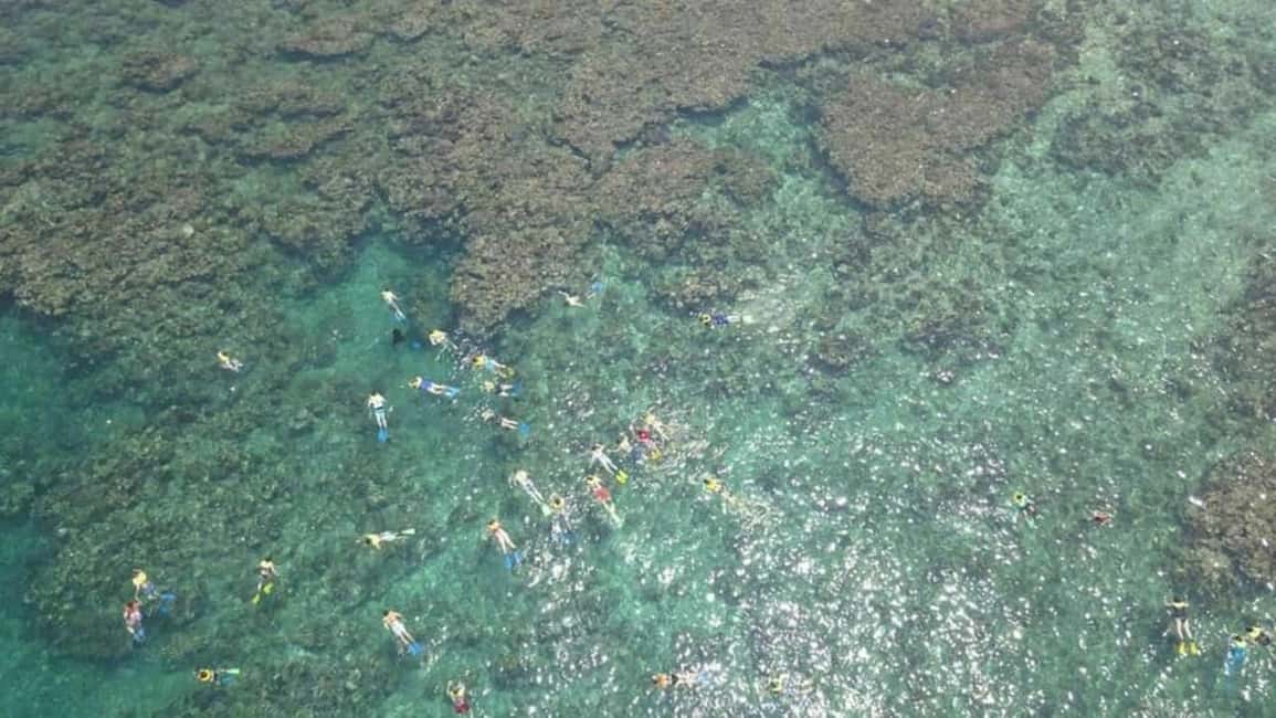 image n.8 of Roatán: Private Customizable Island Exploration Tour activity in Coxen Hole, uploaded by supplier