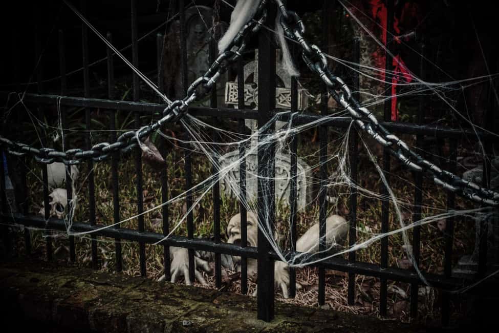 Immagine nº 13 di New Orleans: tour tra vampiri, voodoo e fantasmi attività a New Orleans, caricata dal fornitore