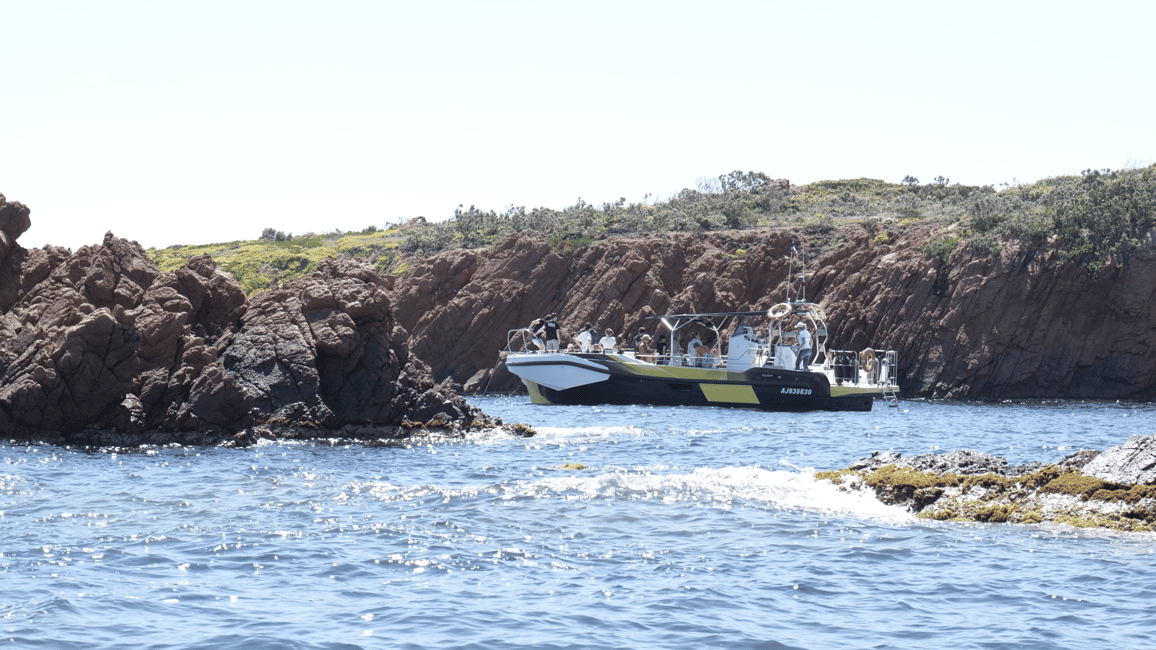 image n.8 of Fréjus: Sea and Creeks Boat Tour with Snorkeling and Drinks activity in Fréjus Saint-Raphaël, uploaded by supplier