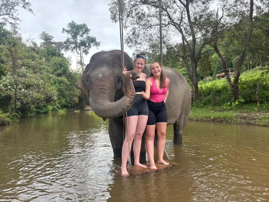image n.1 of Chiang Mai: Elephant Sanctuary & Waterfall Group Tour activity in Chiang Mai, uploaded by supplier