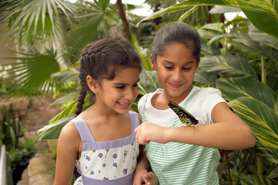 image n.3 of Niagara Falls, Canada: Butterfly Conservatory Admission activity in Niagara Falls, Ontario, uploaded by supplier