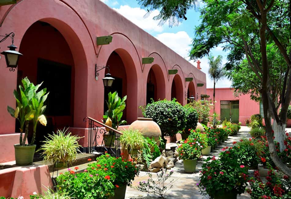 image n.5 of From Ica or Huacachina: Wine and Pisco Vineyards Tour activity in Ica, uploaded by supplier